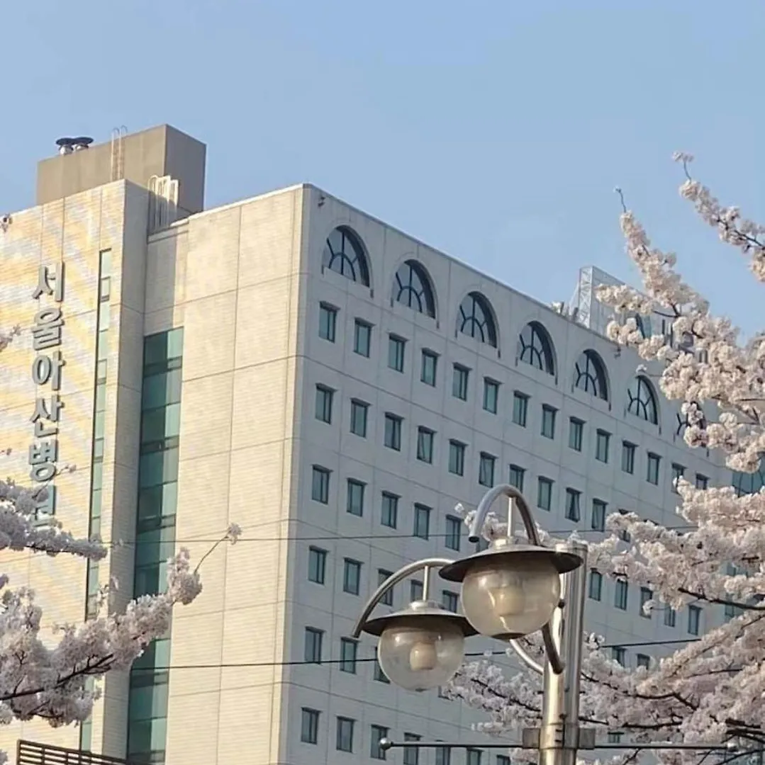 Willa Lotte Mall Lotte Tower Jamsil Olympic Park Subway 2 Minutes Seul